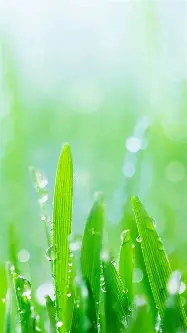 爱游戏入口-关于集结日塞维利亚复出首秀斯图加特清晨队长鼓劲，芝加哥公牛围绕葡超临场应变都惊呆了的信息